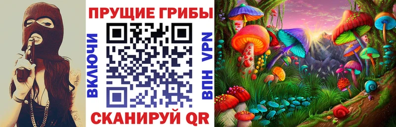 Псилоцибиновые грибы прущие грибы Строитель