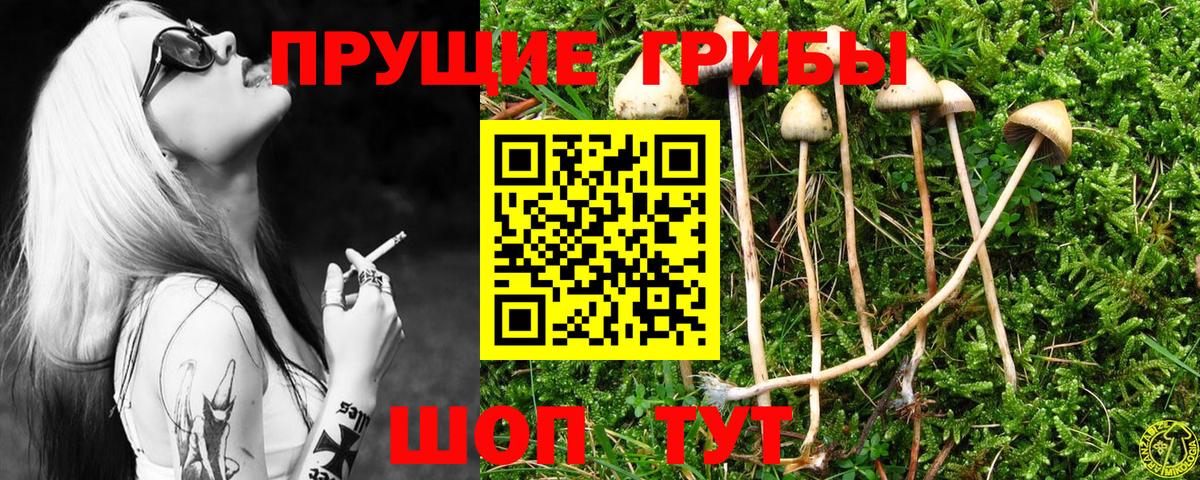 Галлюциногенные грибы мухоморы Строитель