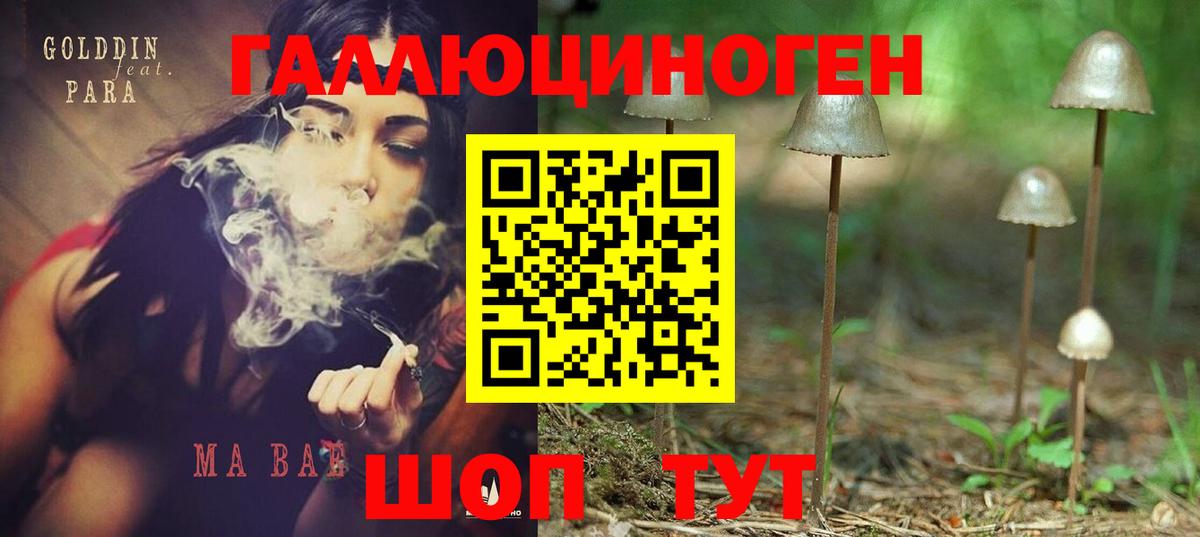 Строитель  Галлюциногенные грибы прущие грибы  Вход с VPN 