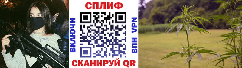 Шишки марихуана марихуана  Строитель 